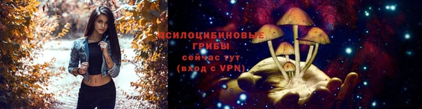 2c-b Бронницы