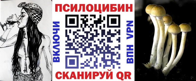 KRAKEN вход  Коммунар  Псилоцибиновые грибы мицелий 